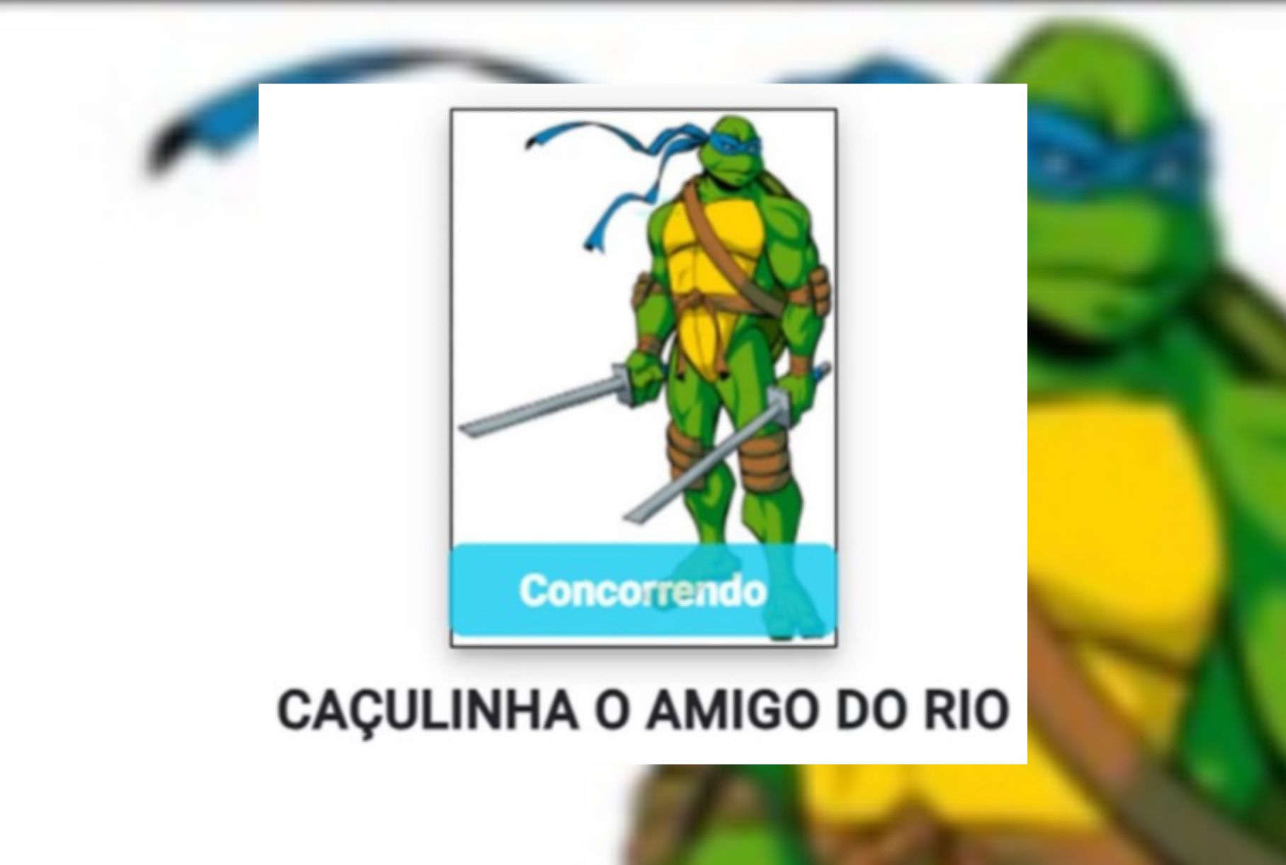 CANDIDATO É REGISTRADO NO SISTEMA DO TSE COM FOTO DA TARTARUGA NINJA