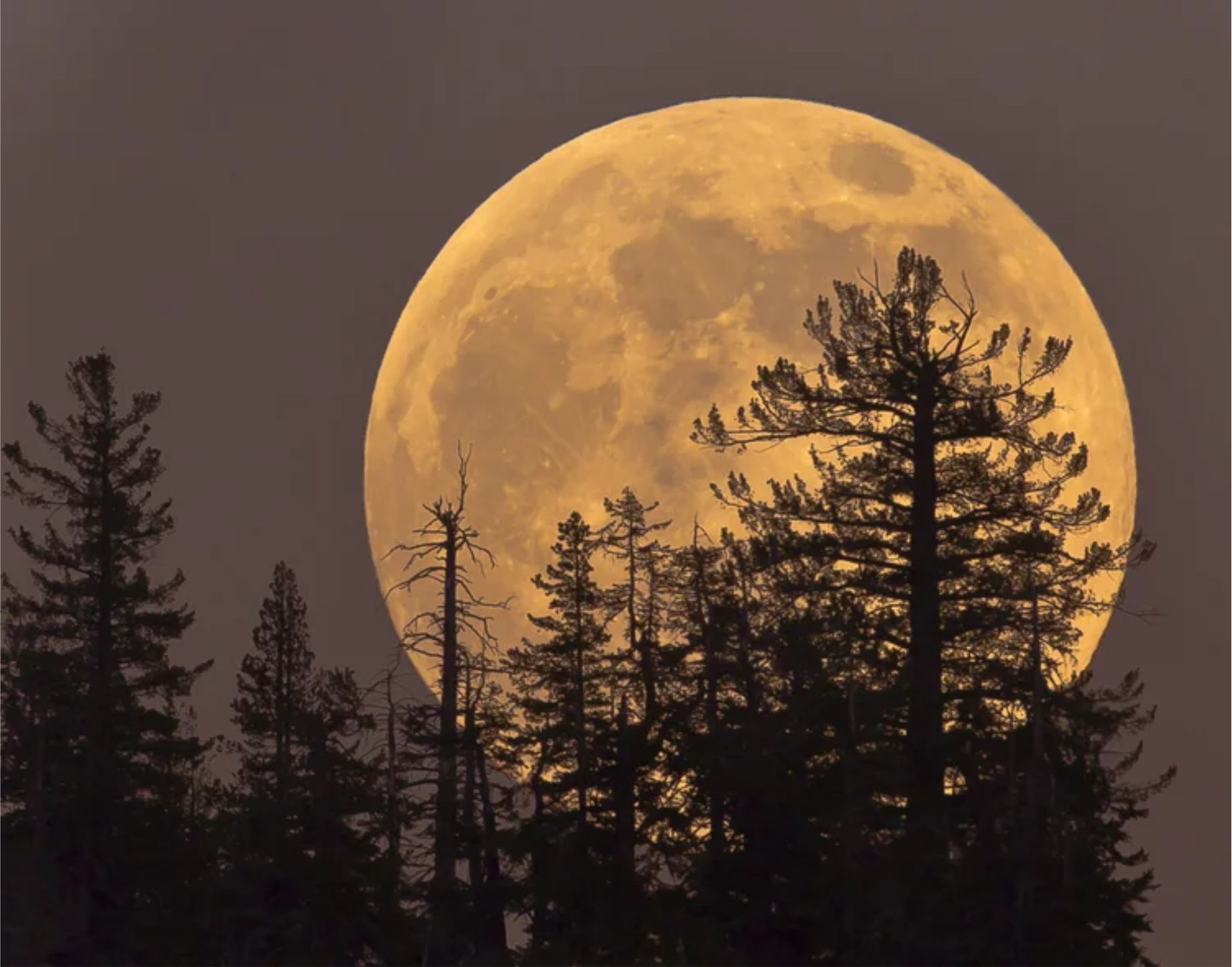 PRIMEIRA SUPER LUA DO ANO ACONTECE NESTA SEGUNDA-FEIRA (19)