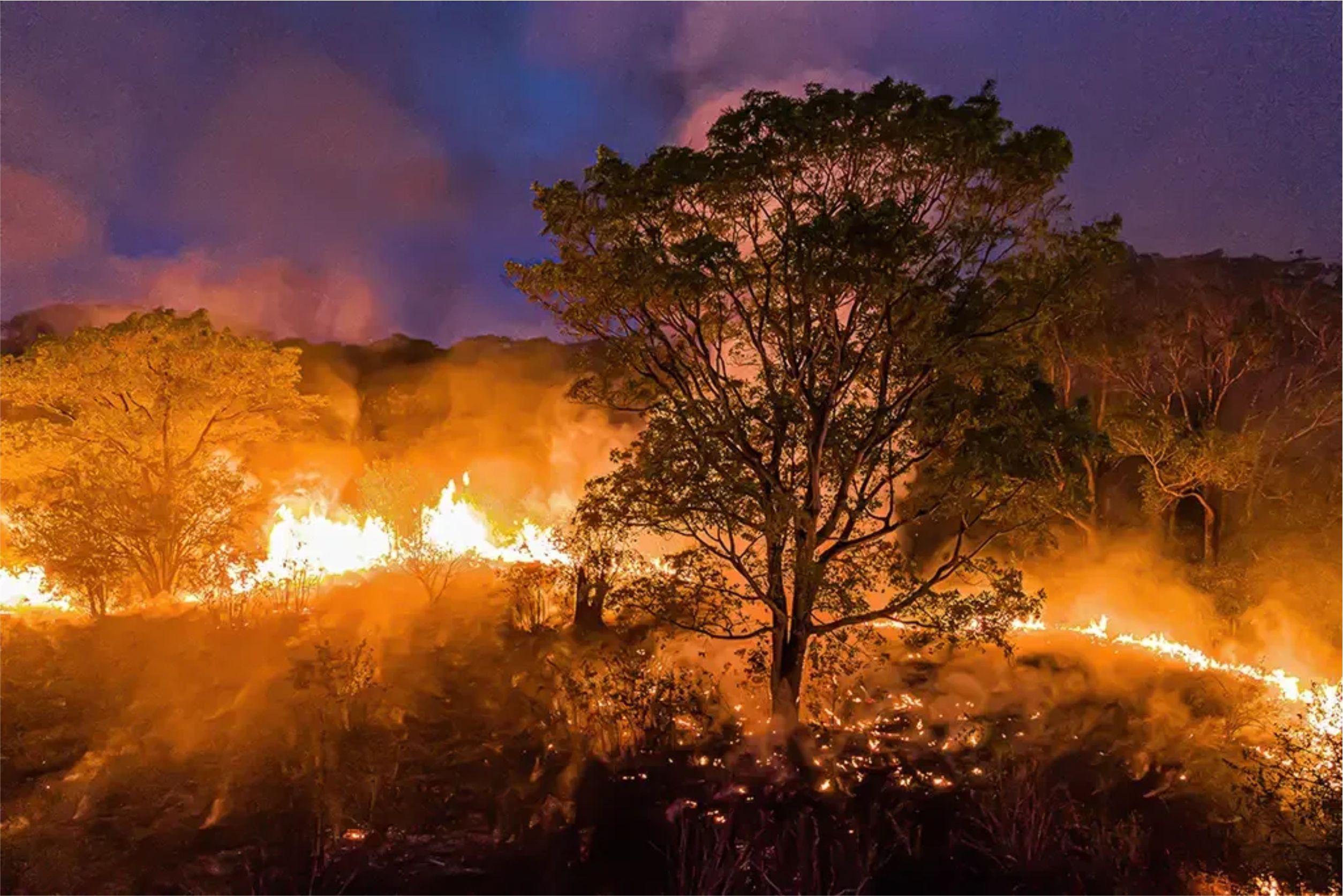 PROPRIETÁRIOS RURAIS SÃO MULTADOS EM  R$ 9 MILHÕES POR FOGO EM ÁREA NATIVA